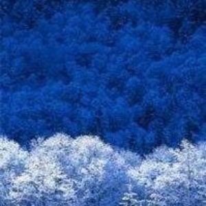 Meet your Posher, Annette